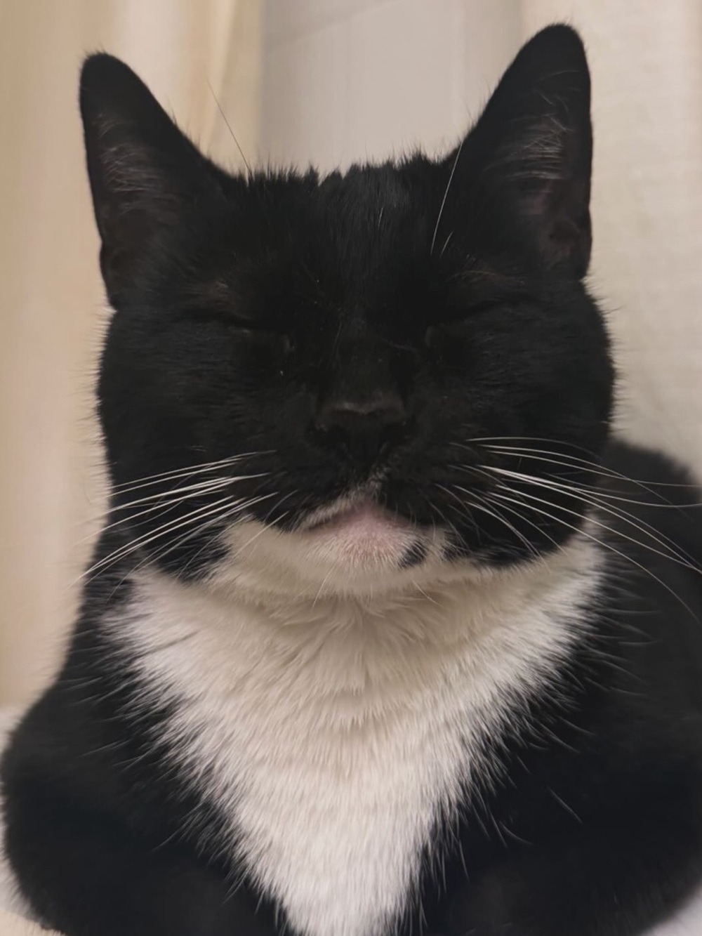 Meet your Posher, Joselyn